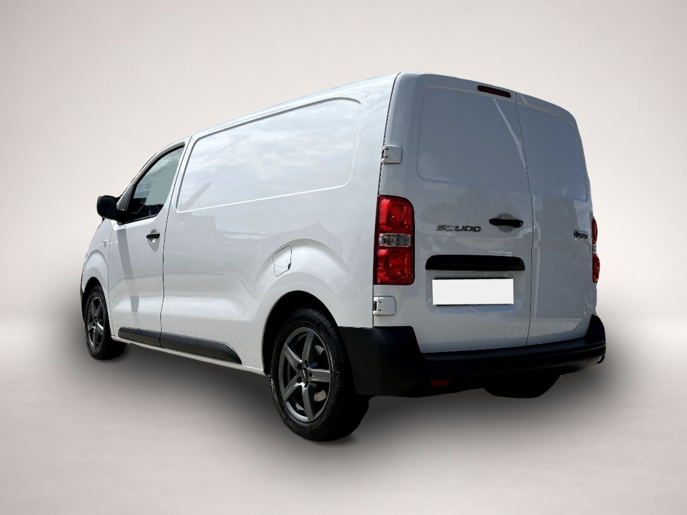 Fiat Other (04/2023, )