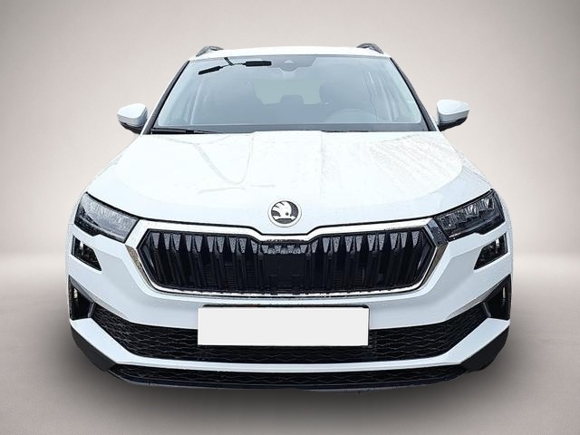 Skoda Karoq (02/2026, Benzin)
