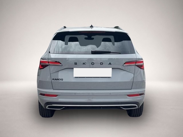 Skoda Karoq (06/2026, Benzin)