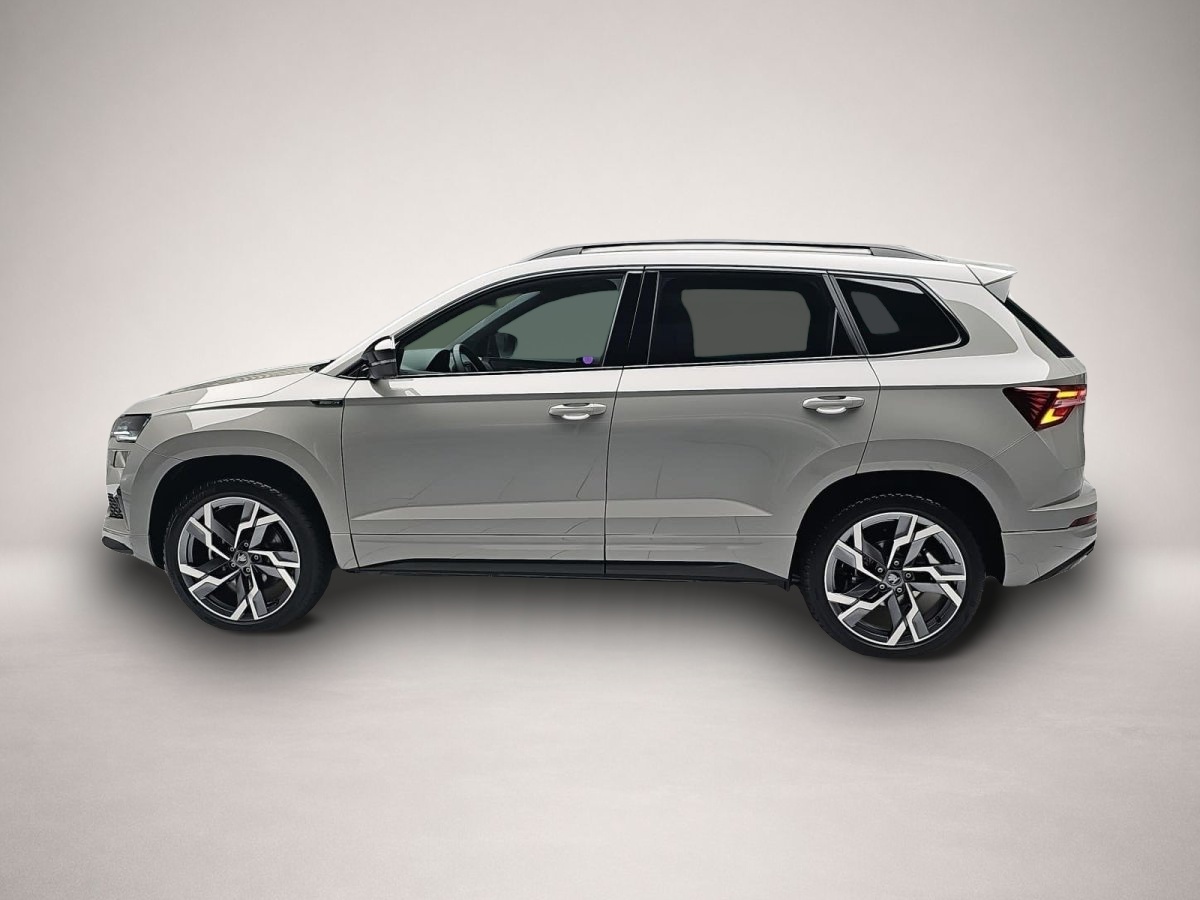 Skoda Karoq, image 4 of 4