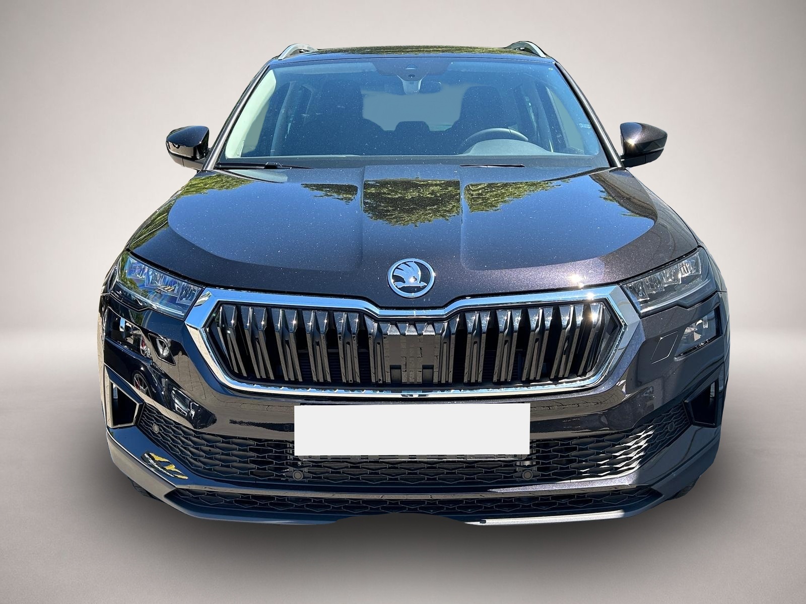 Skoda Karoq (05/2026, Diesel)