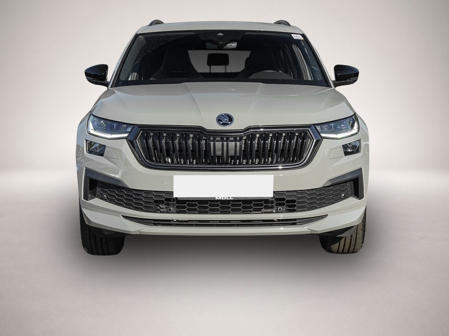 Skoda Kodiaq (05/2024, )