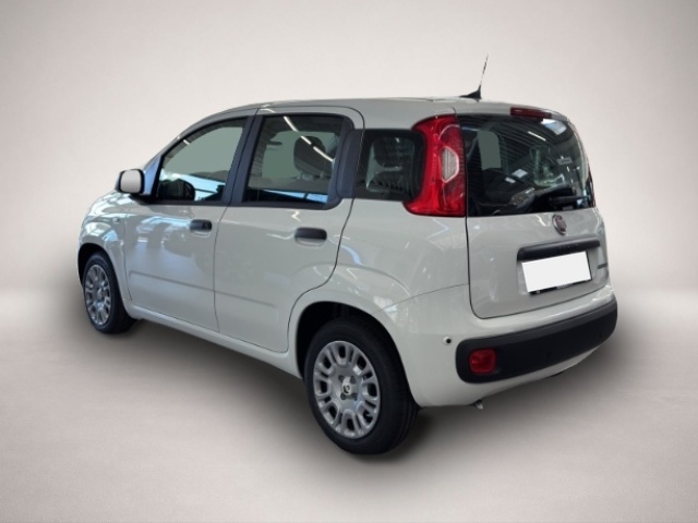 Fiat Panda (03/2026, Benzin)