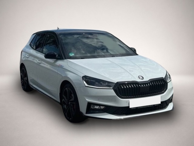 Skoda Fabia (04/2026, Benzin)