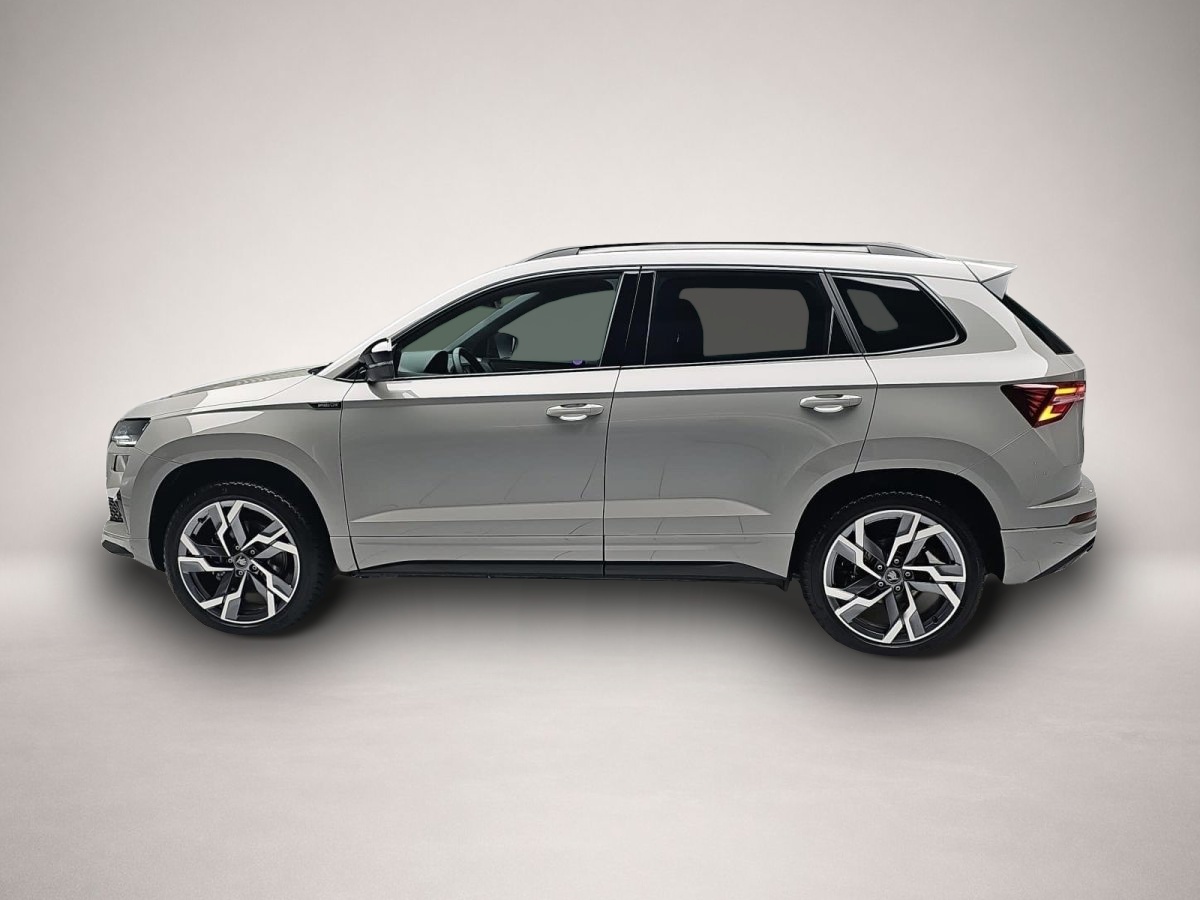 Skoda Karoq, image 4 of 4