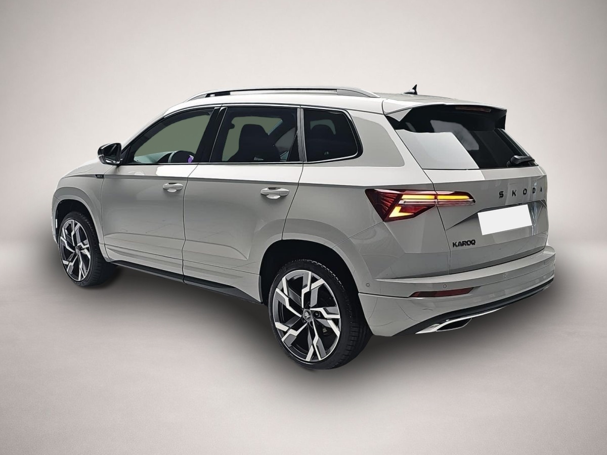 Skoda Karoq, image 3 of 4