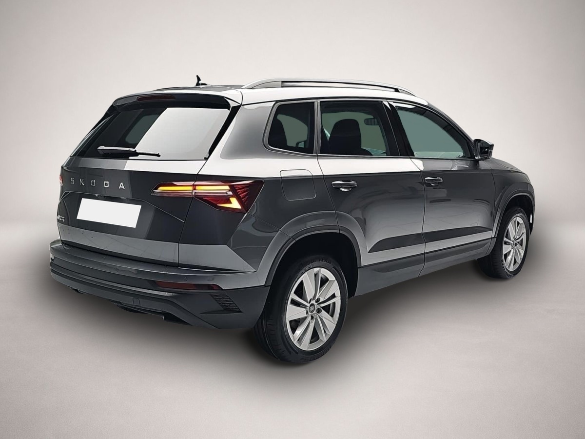 Skoda Karoq, Bild 2 von 4