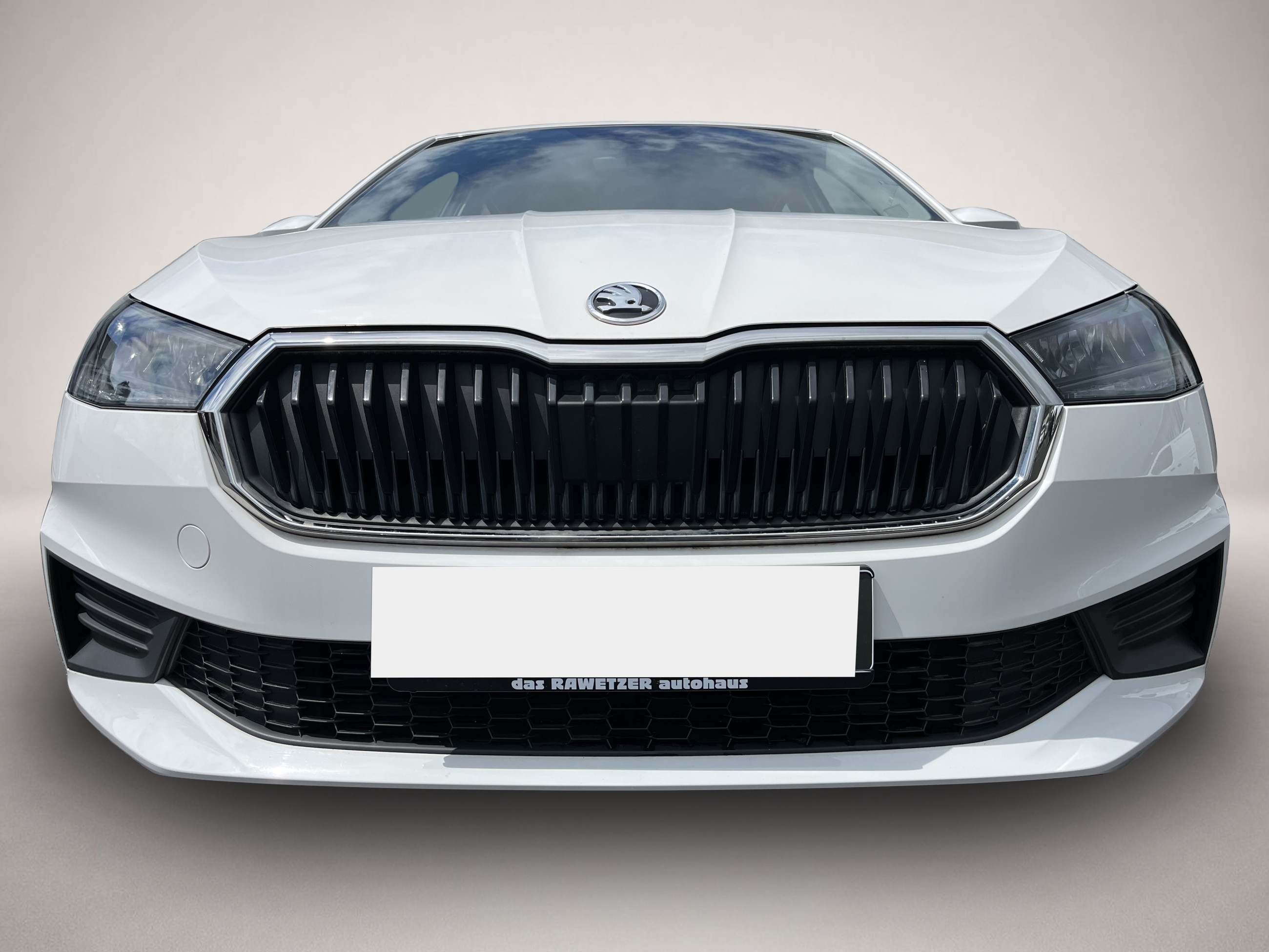 Skoda Fabia (12/2021, Benzin)