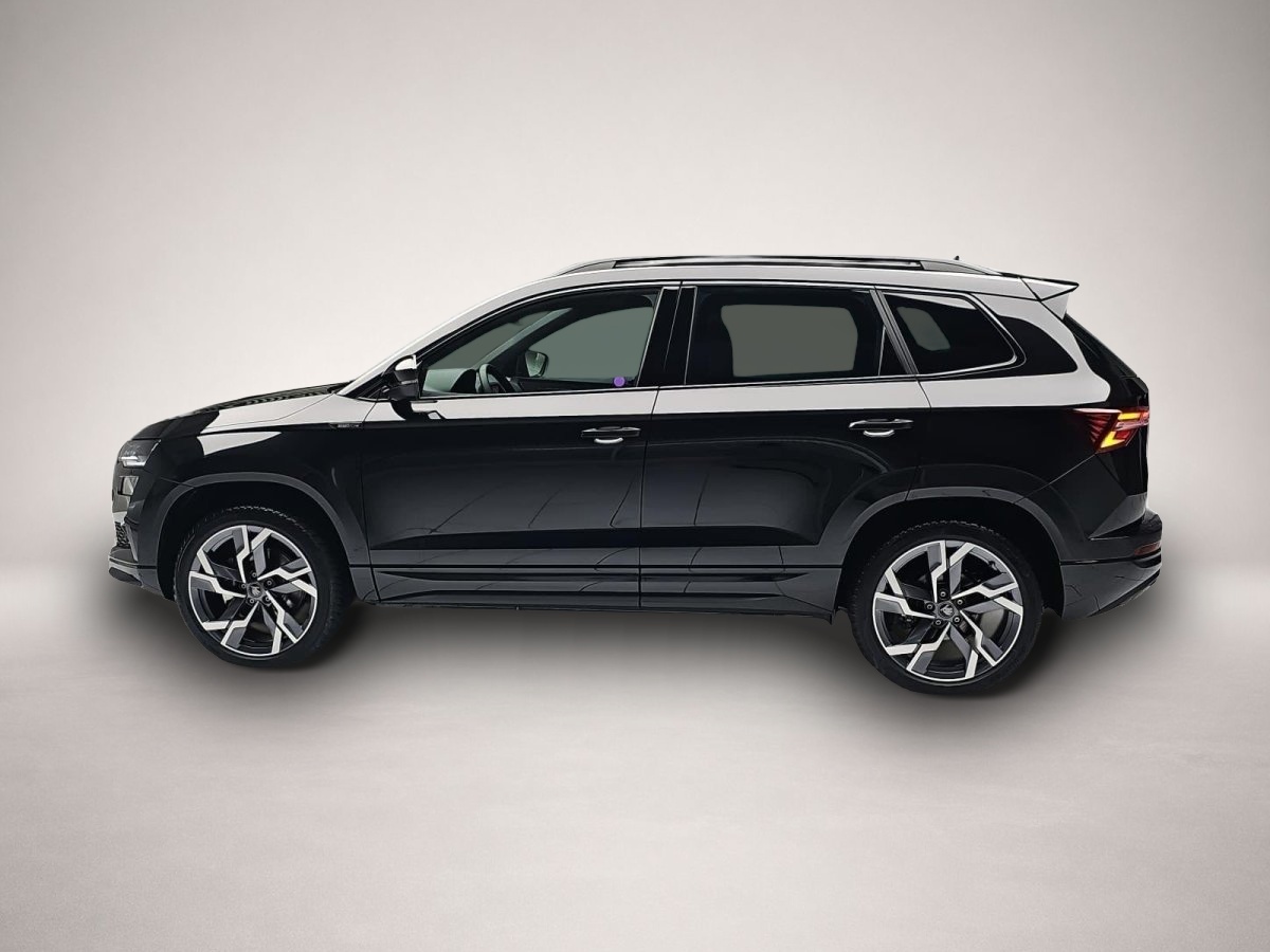 Skoda Karoq, image 4 of 4