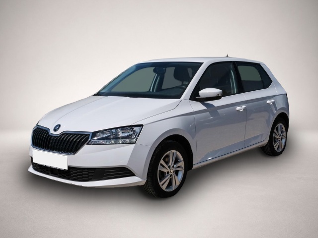 Skoda Fabia (01/2020, Benzin)