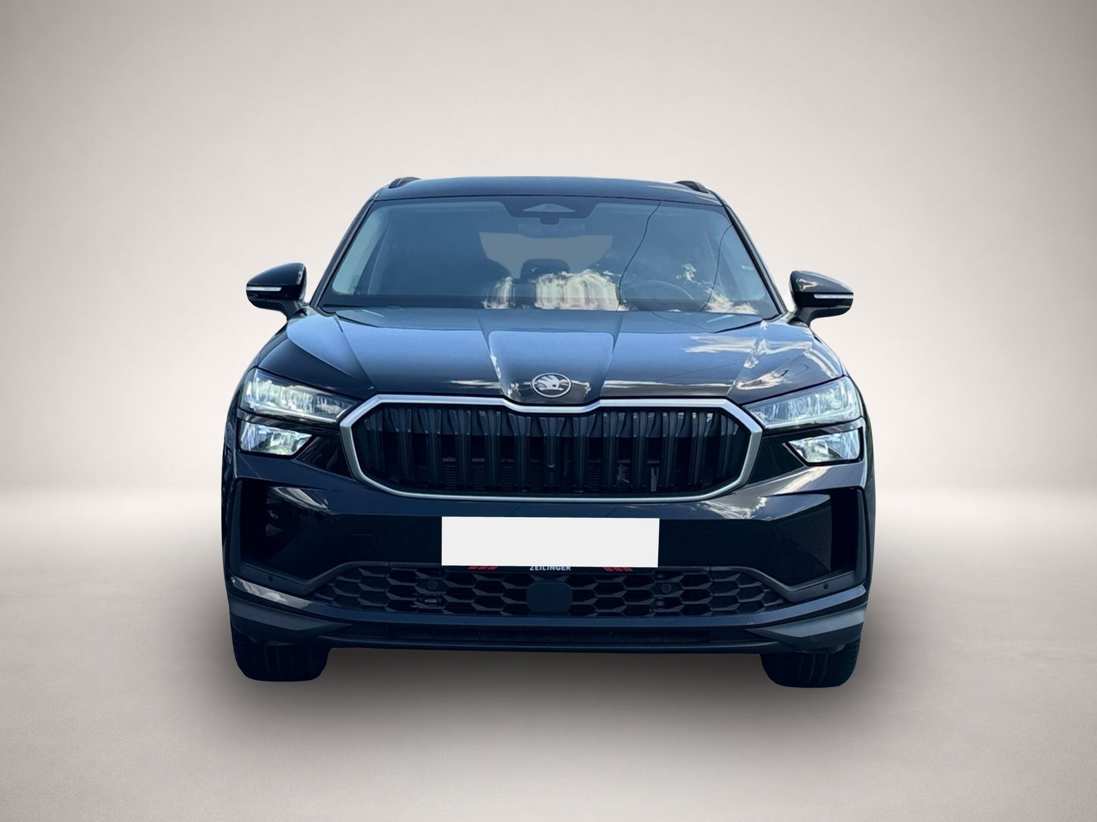 Skoda Kodiaq (12/2024, Diesel)