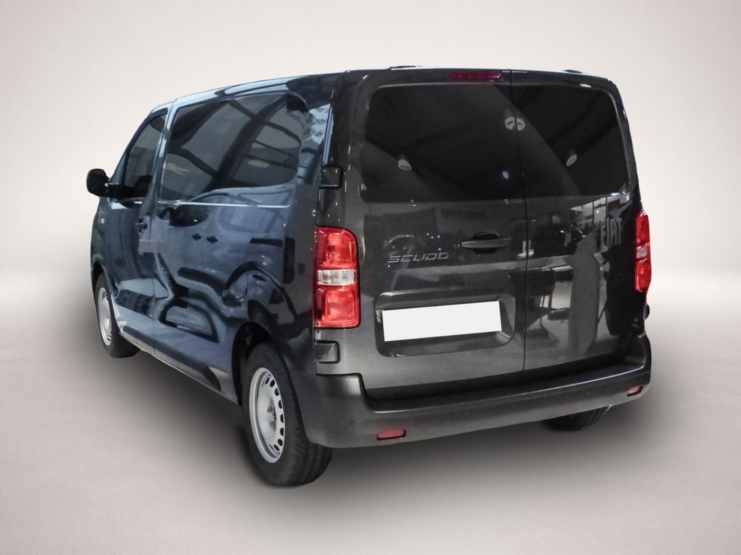 Fiat Other (01/2025, Diesel)