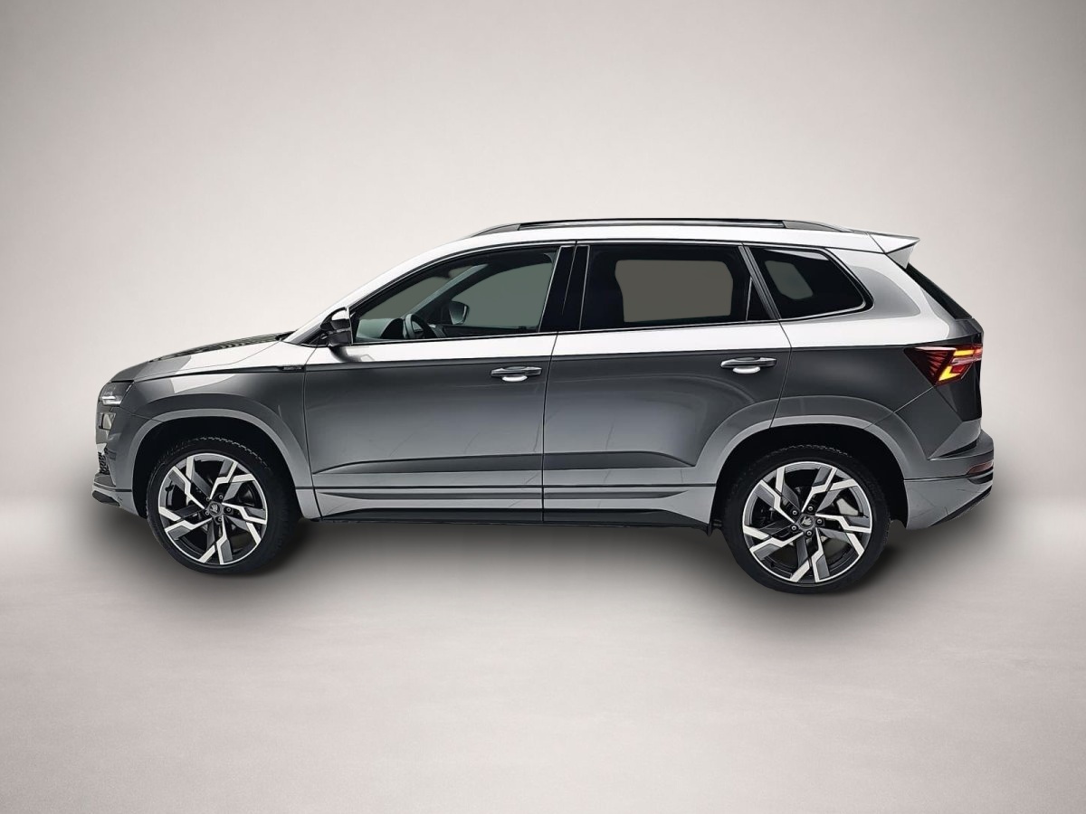 Skoda Karoq, image 4 of 4
