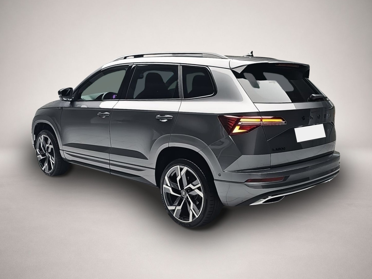 Skoda Karoq, image 3 of 4