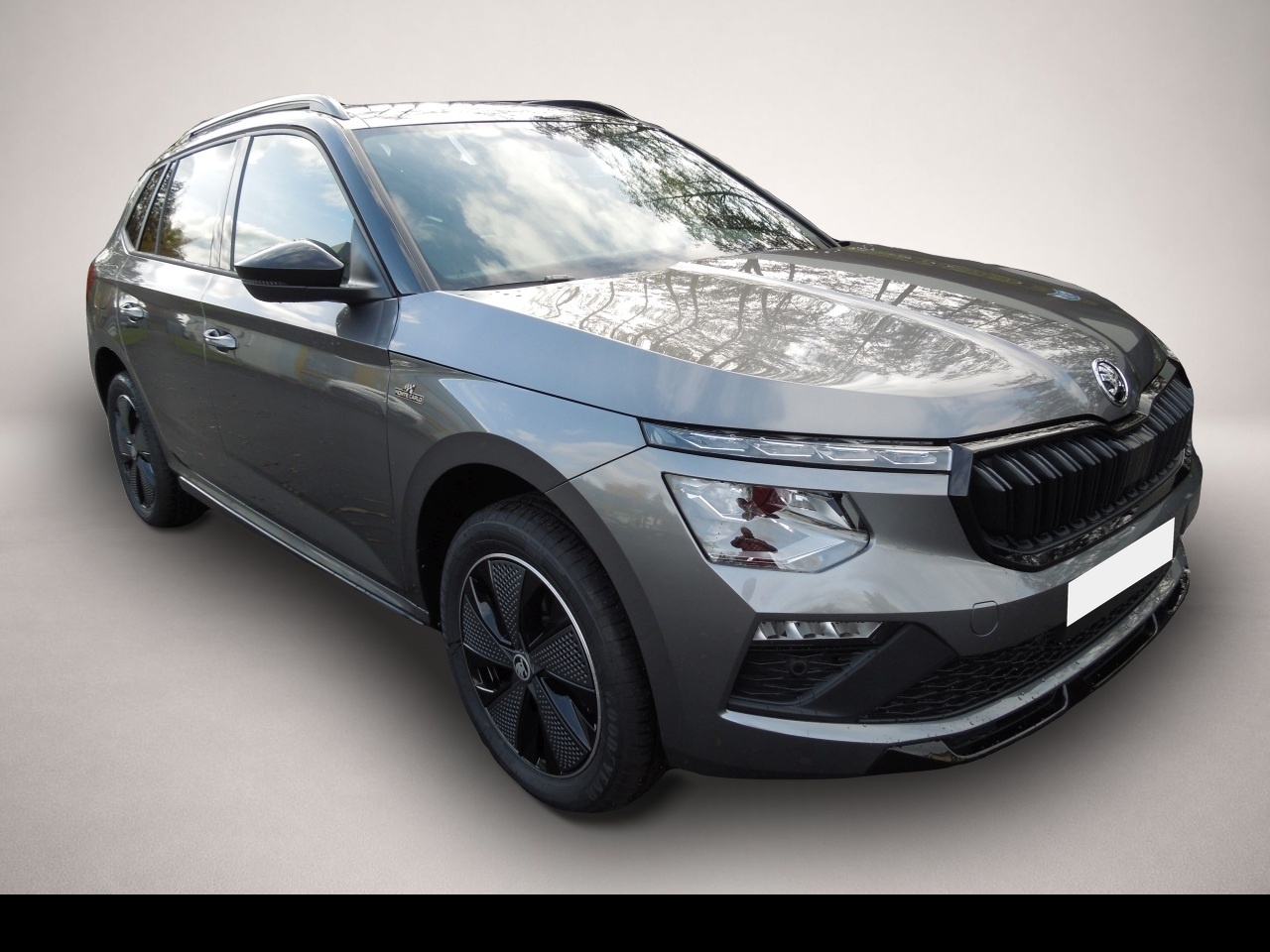Skoda Kamiq (, Benzin)