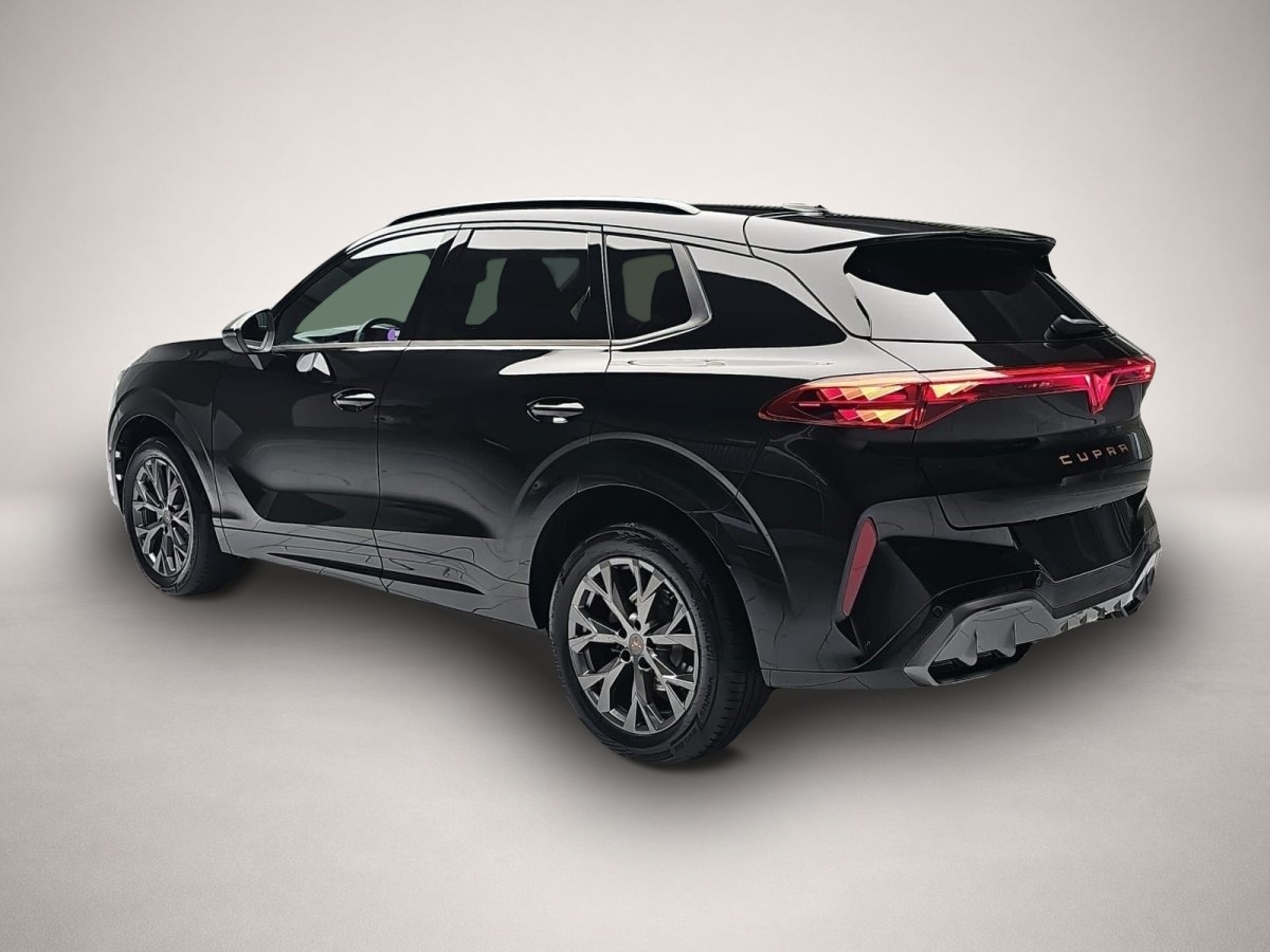 CUPRA Terramar, image 4 of 5
