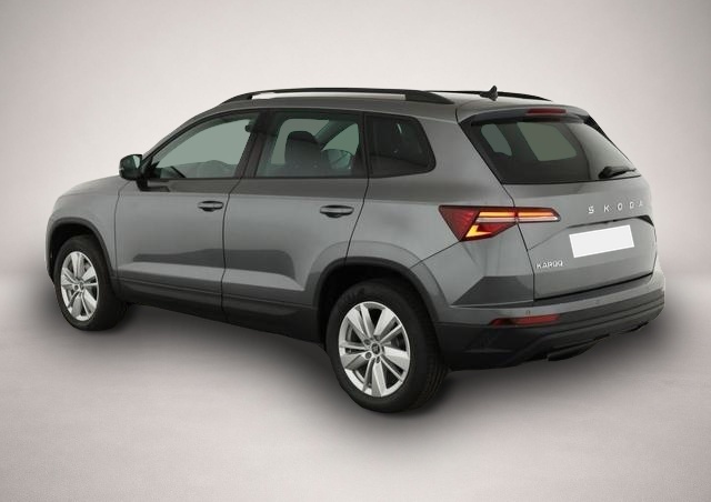 Skoda Karoq (06/2026, Diesel)