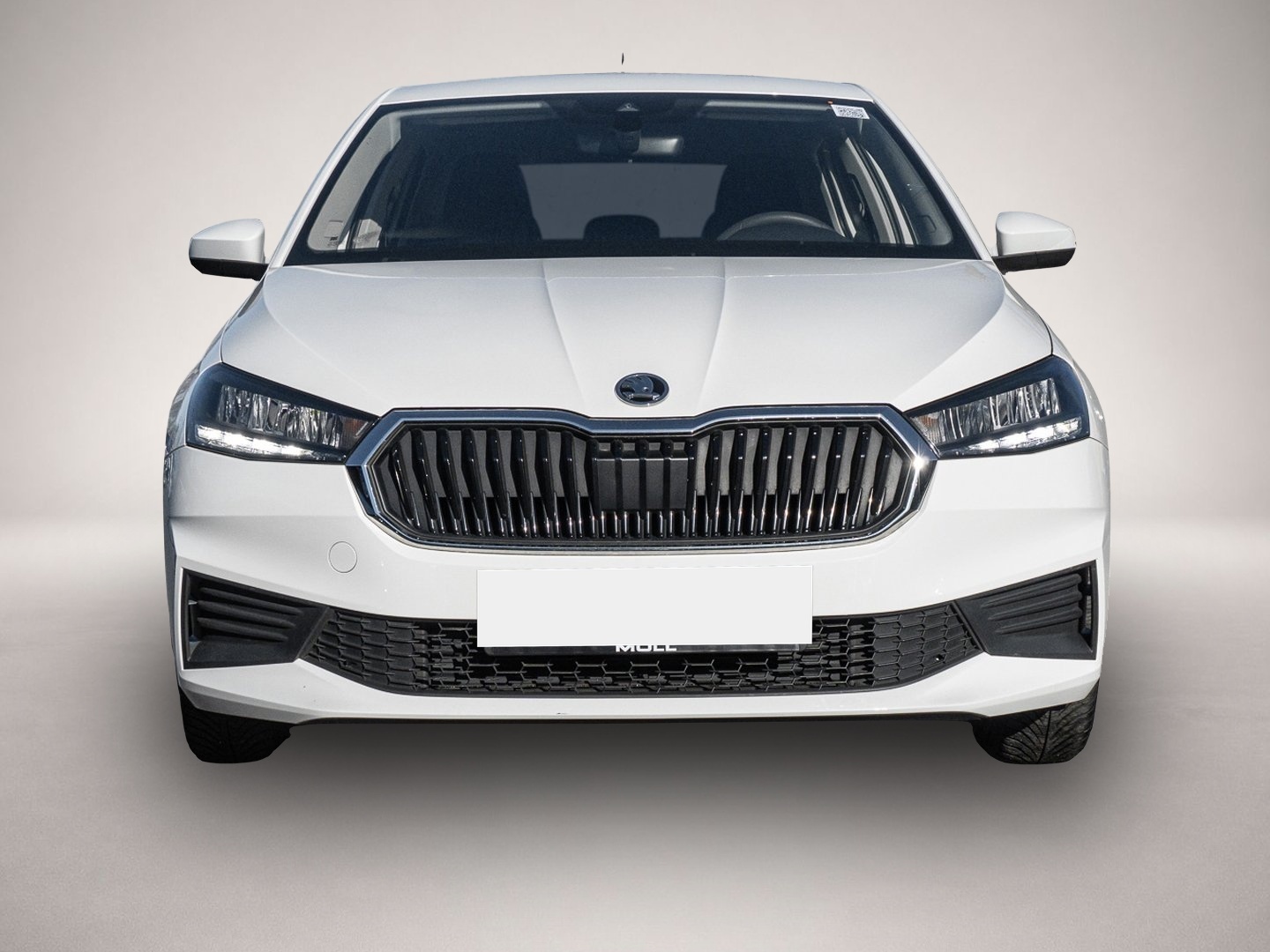 Skoda Fabia (01/2023, Benzin)