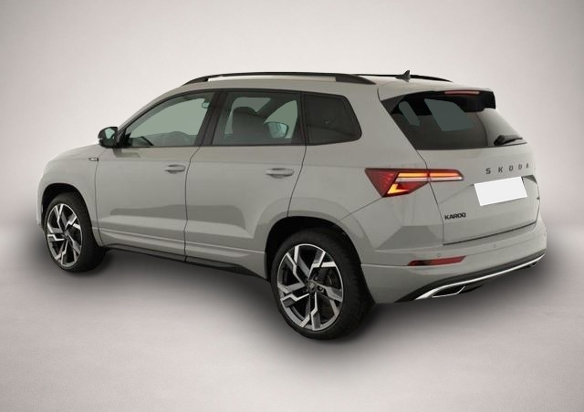 Skoda Karoq (05/2026, Benzin)