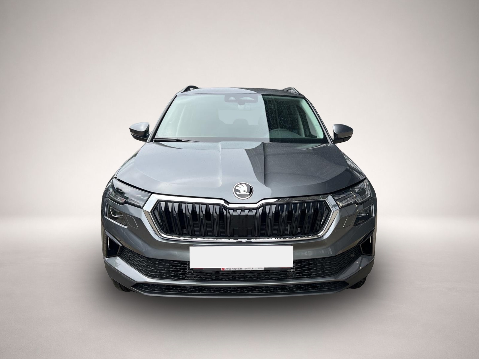 Skoda Karoq, image 8 of 8
