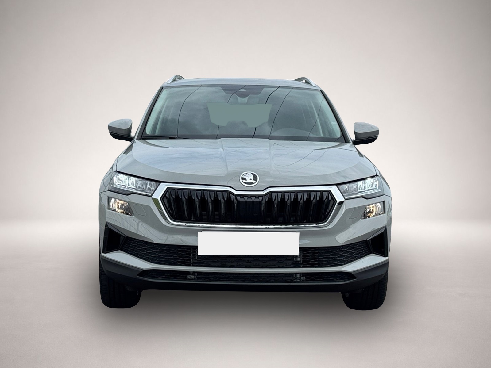Skoda Karoq (04/2026, Diesel)
