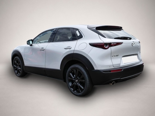 Mazda CX-30 (06/2026, Benzin)