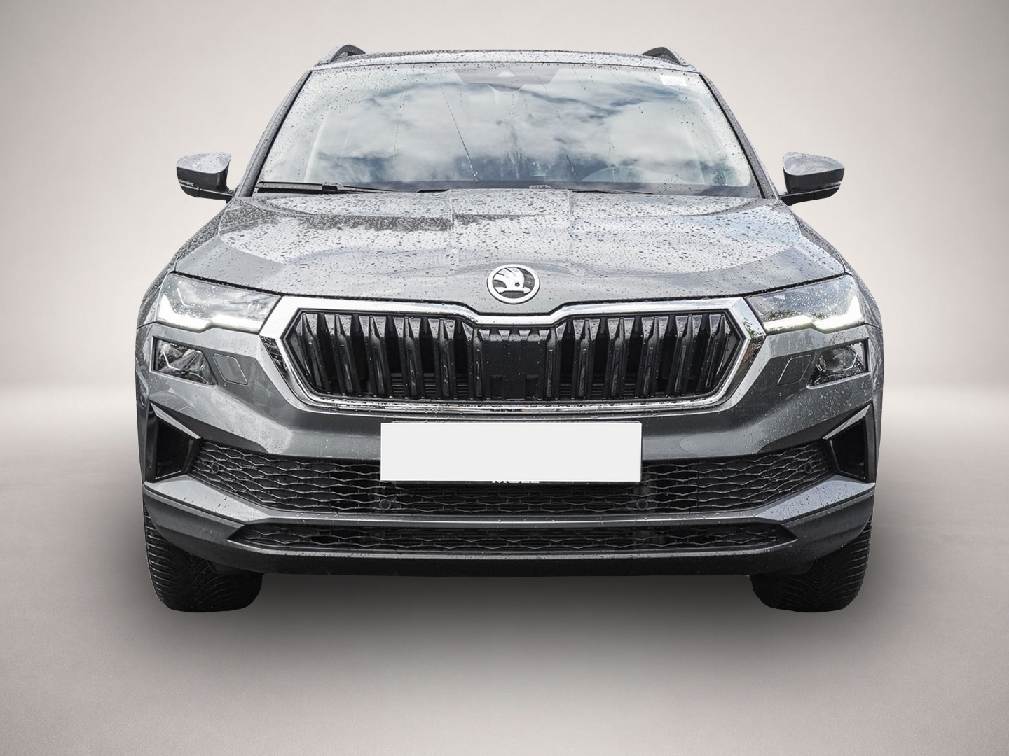 Skoda Karoq (07/2025, Diesel)