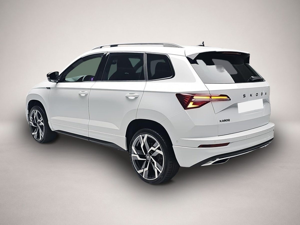Skoda Karoq (06/2026, Benzin)