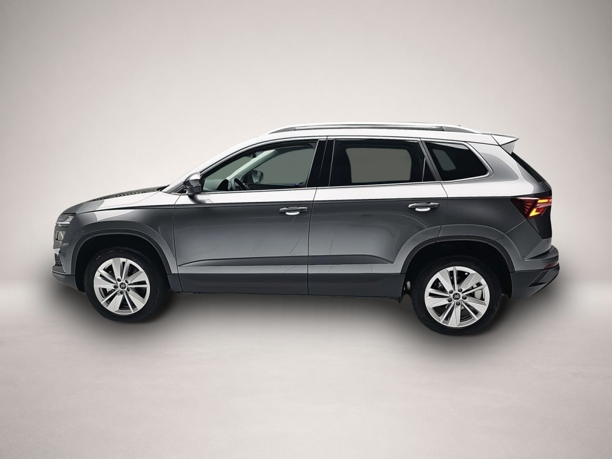 Skoda Karoq, Bild 4 von 4