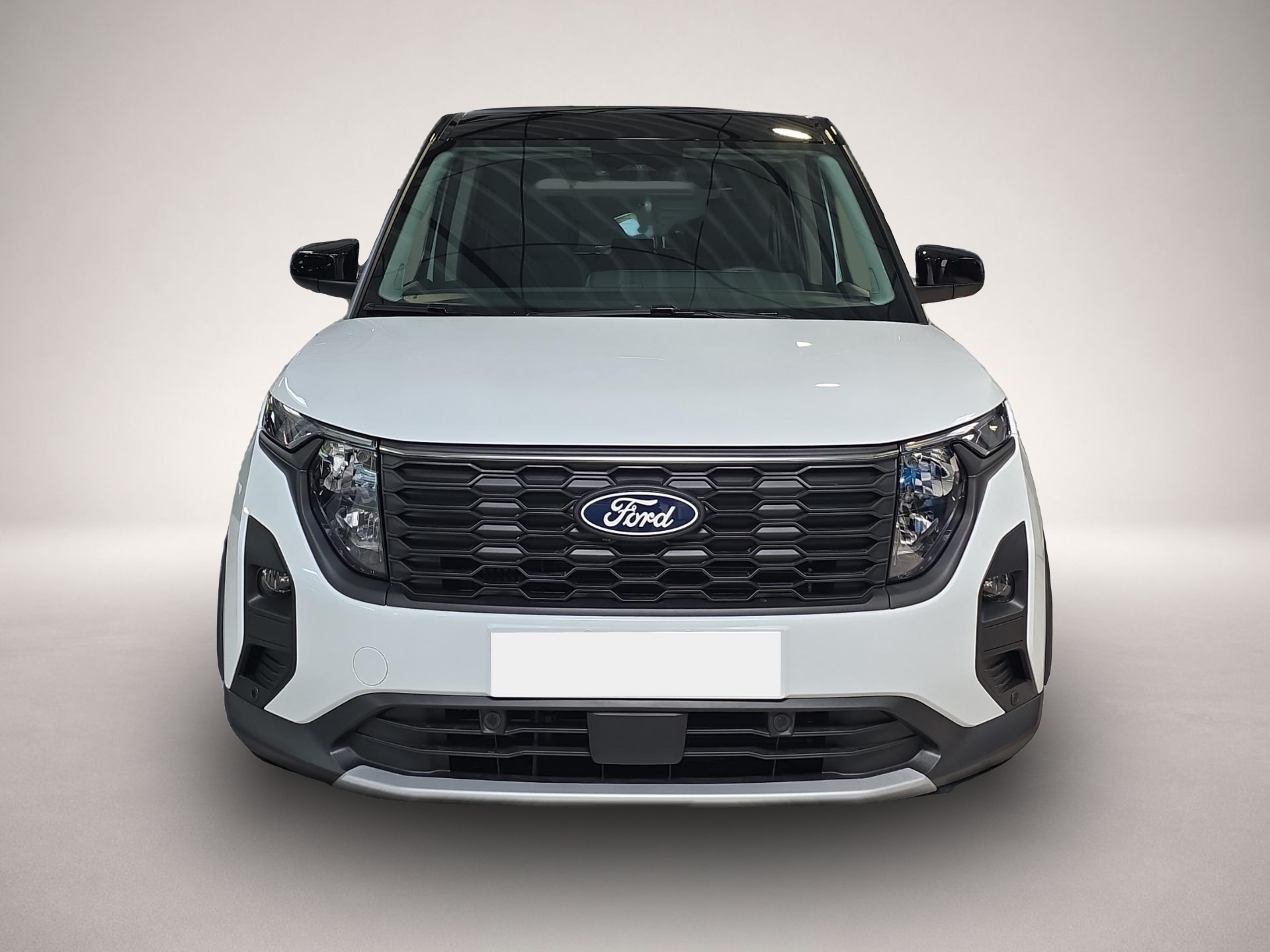 Ford Other (11/2025, Benzin)