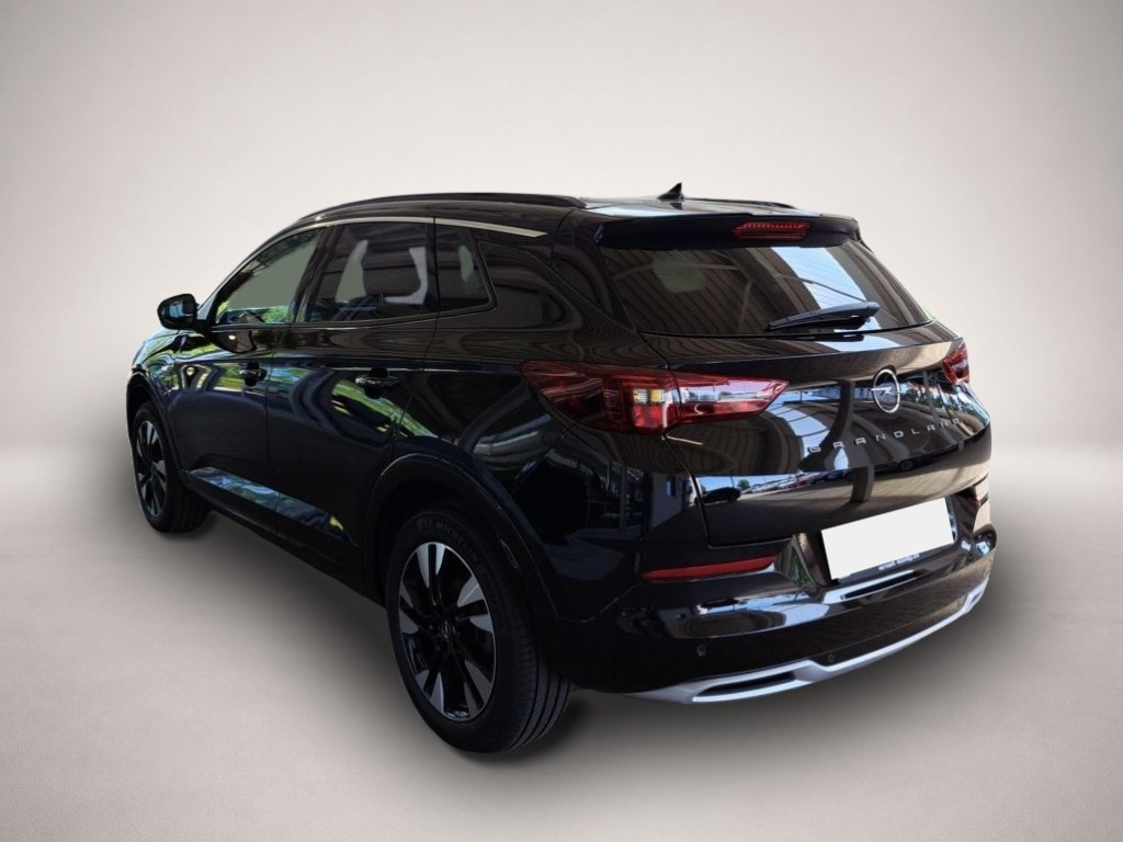 Opel Grandland (X) (06/2023, )
