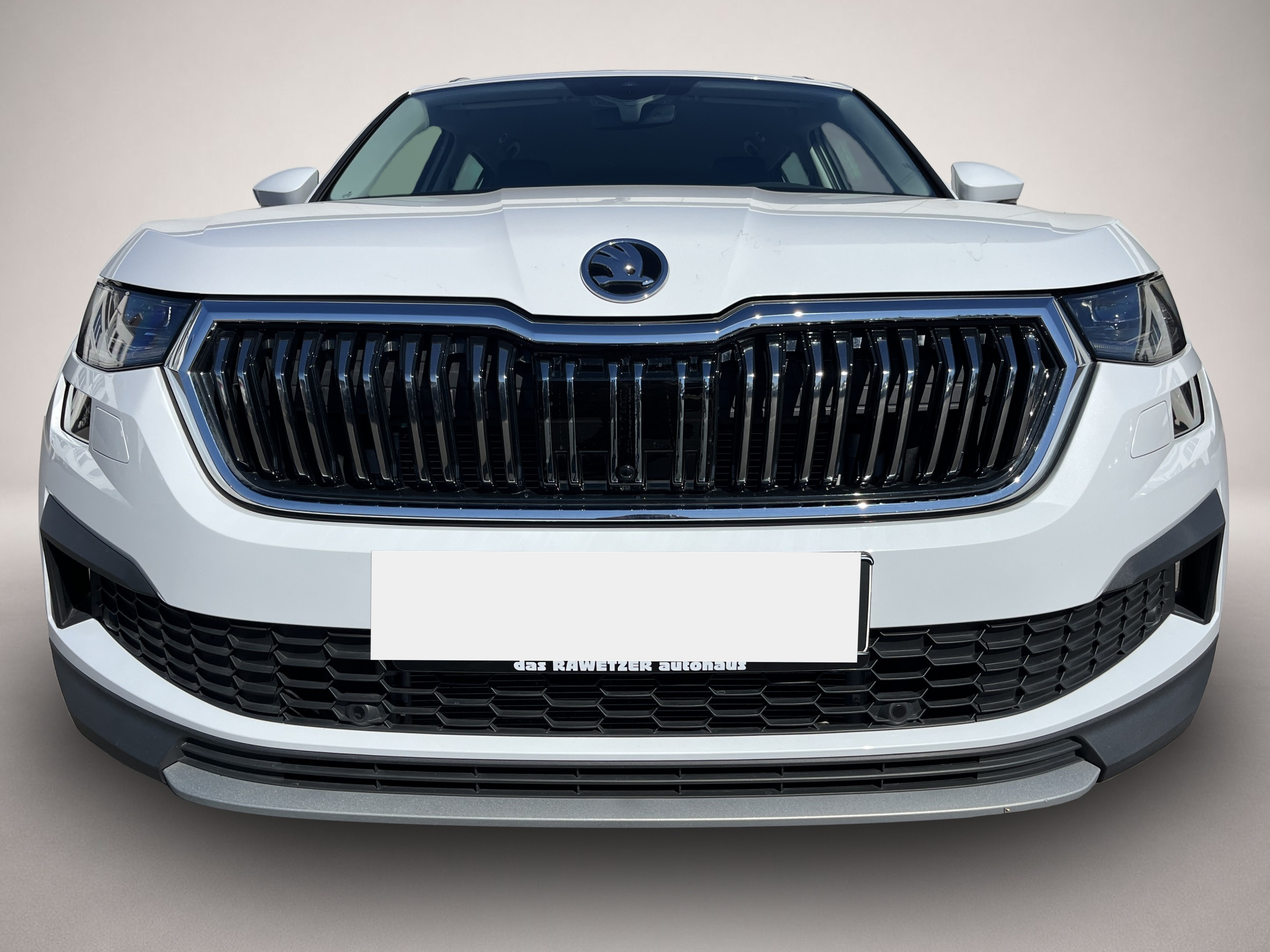 Skoda Kodiaq (04/2024, Diesel)