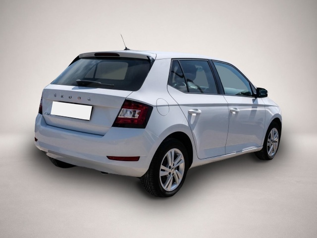 Skoda Fabia (01/2020, Benzin)