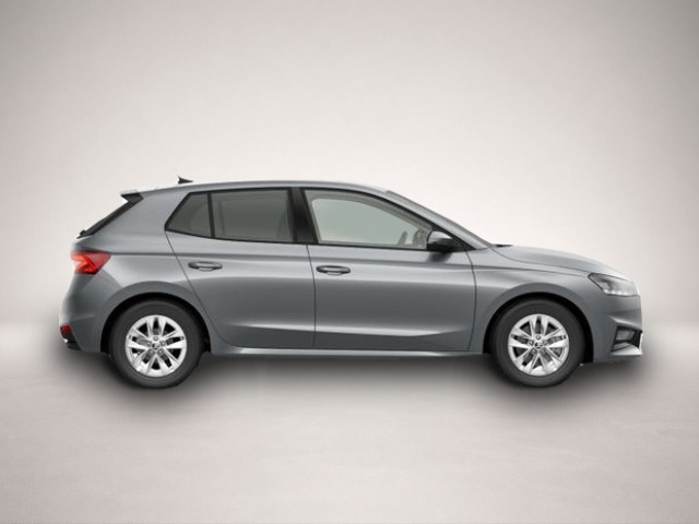 Skoda Fabia (, Benzin)