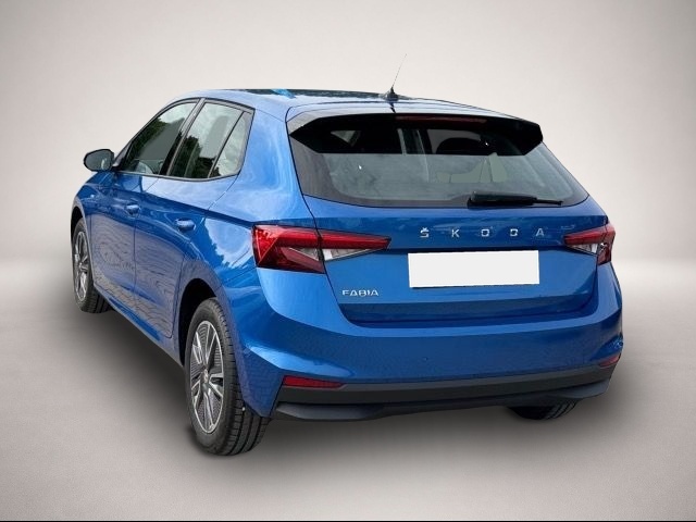 Skoda Fabia (01/2024, )