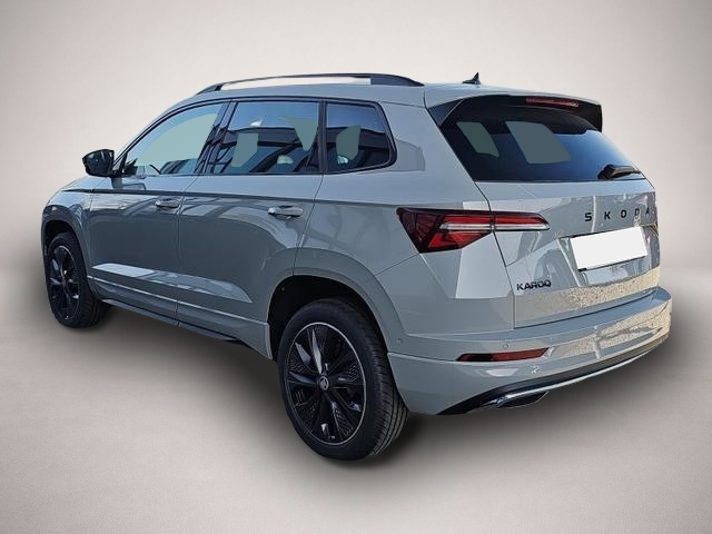 Skoda Karoq (04/2026, Benzin)