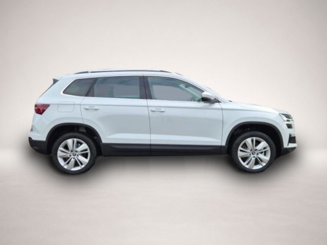 Skoda Karoq (04/2026, Benzin)