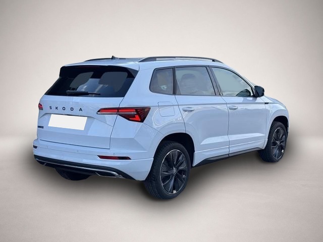 Skoda Karoq (04/2026, Benzin)