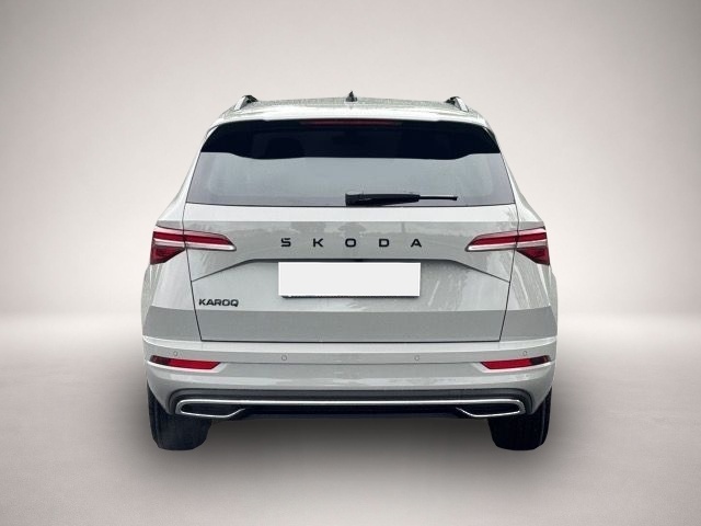 Skoda Karoq (10/2025, Benzin)