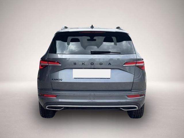 Skoda Karoq (06/2026, Benzin)
