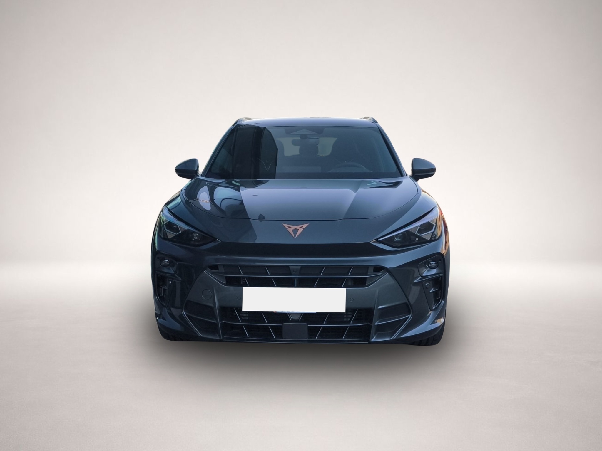 CUPRA Terramar, Bild 2 von 5