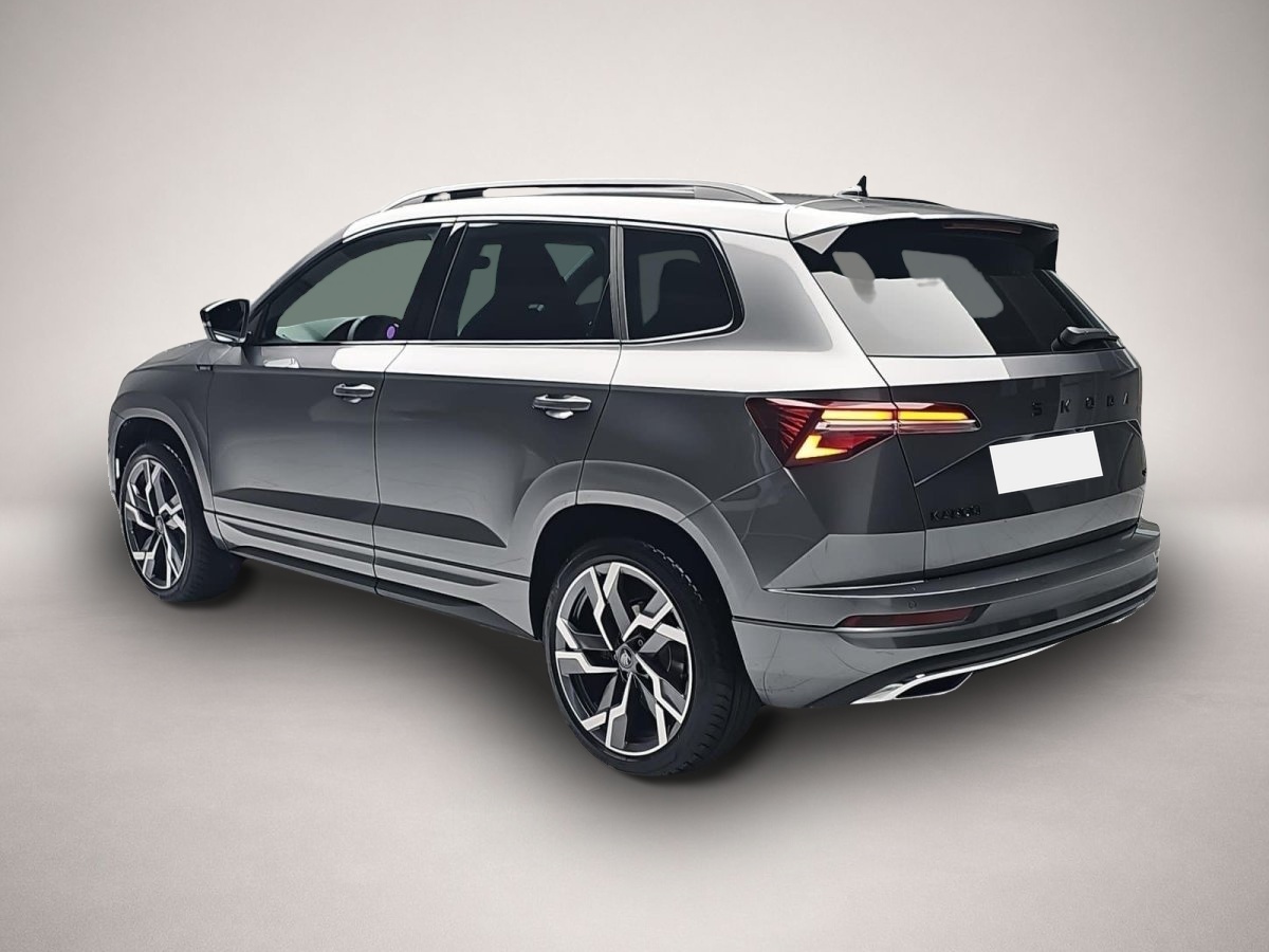 Skoda Karoq, image 3 of 4