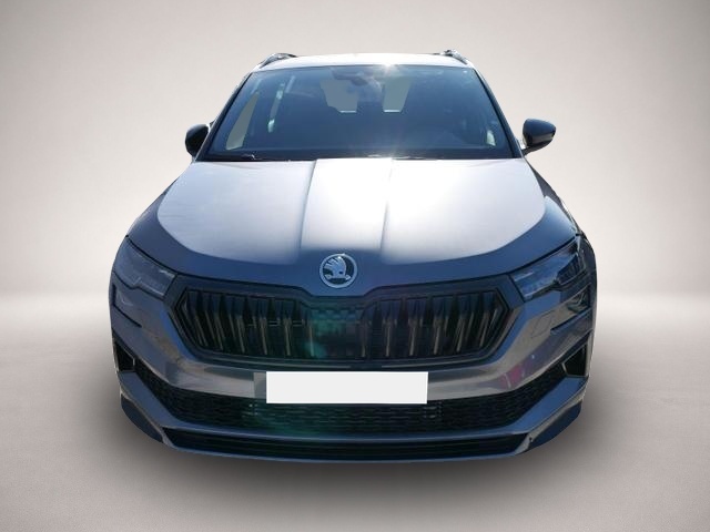 Skoda Karoq (03/2026, Benzin)