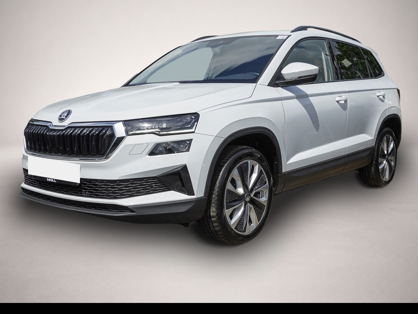 Skoda Karoq (03/2023, Benzin)