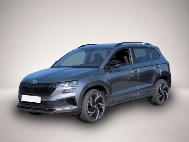 Skoda Karoq (11/2022, Benzin)