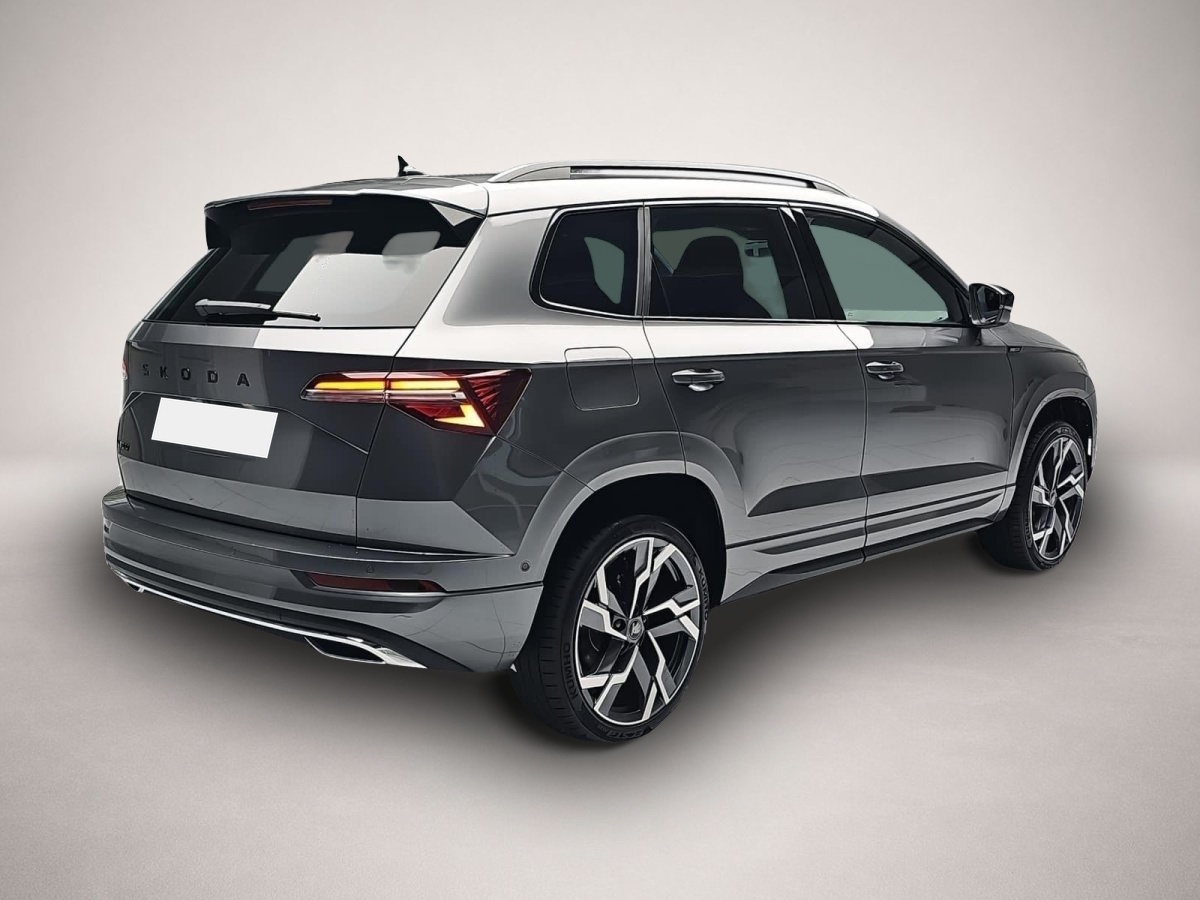 Skoda Karoq (06/2026, Benzin)