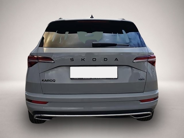 Skoda Karoq (05/2026, Benzin)