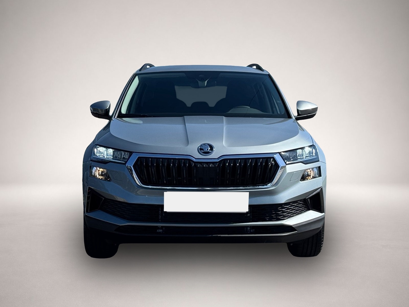Skoda Karoq (02/2026, Benzin)