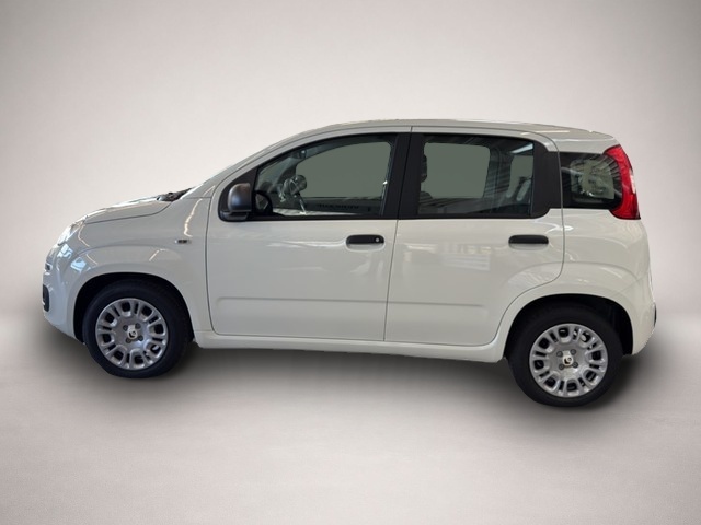 Fiat Panda (03/2026, Benzin)