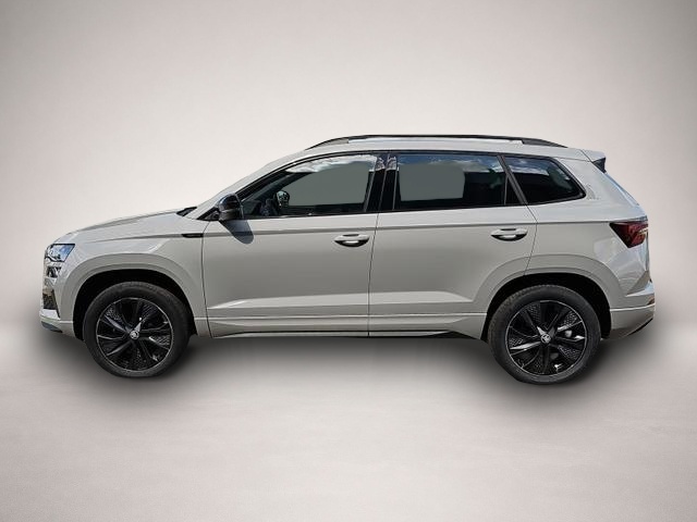 Skoda Karoq (07/2026, Benzin)